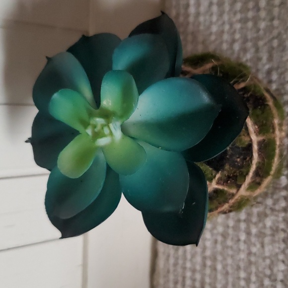 FAUX HOUSE PLANT GREENERY - Picture 1 of 4